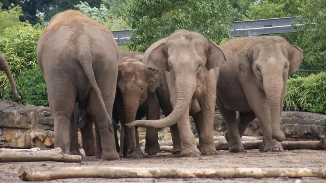 让人改变的方法,让改变变得简单