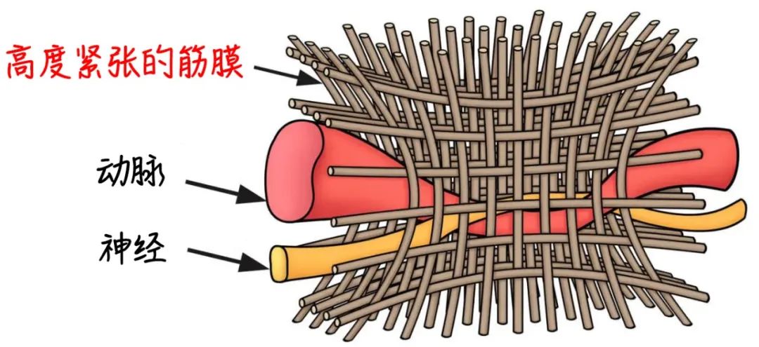 生娃前几天拉不出屎,生娃后拉不出屎怎么办