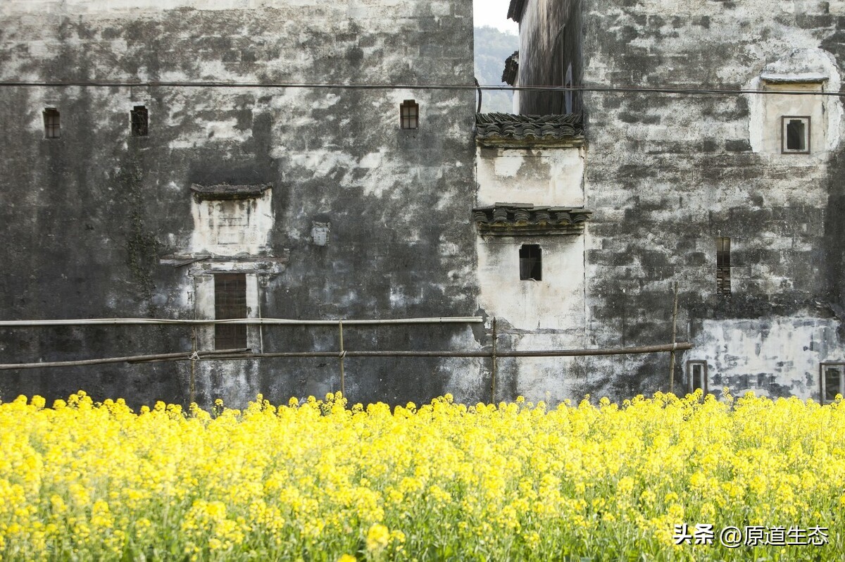 风水文化生态城市建设建议,风水文化生态城市建设