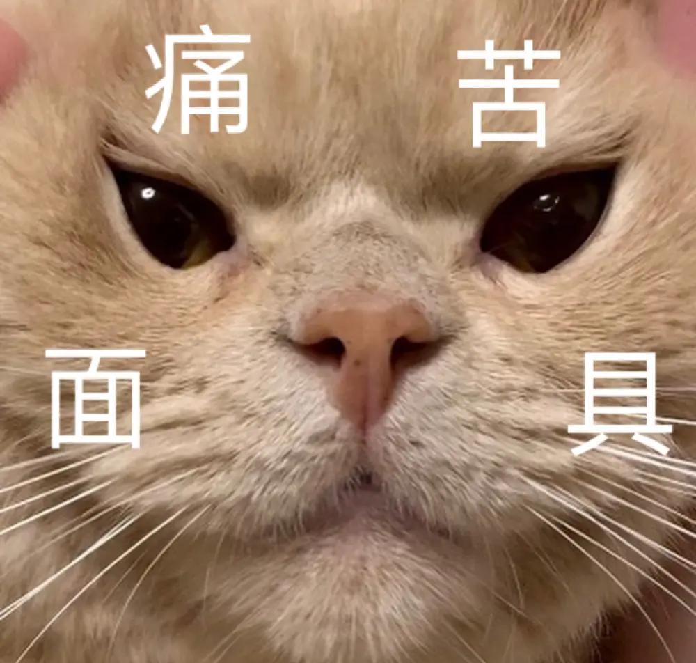 互联网黑话，北京抗阳新编版！