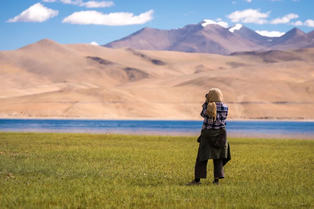 2022世界杯规则详解,世界杯潜规则