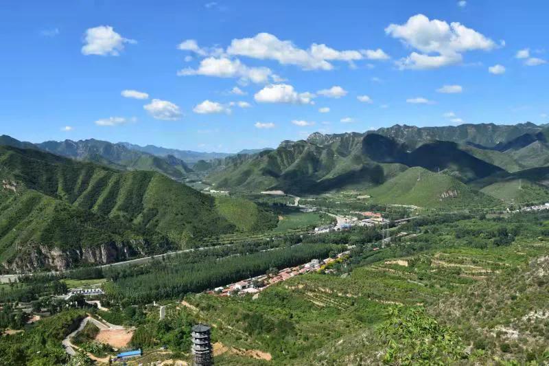 老乡肺癌去世，残疾老公疯疯癫癫放炮仗吊唁，说了许多不该说的话