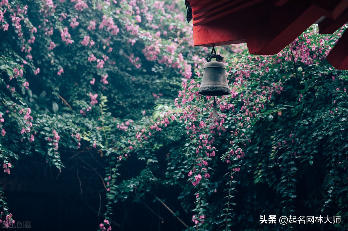 仙气温柔大气优雅古风的女生名字,古风女名儒雅有仙气3字名字