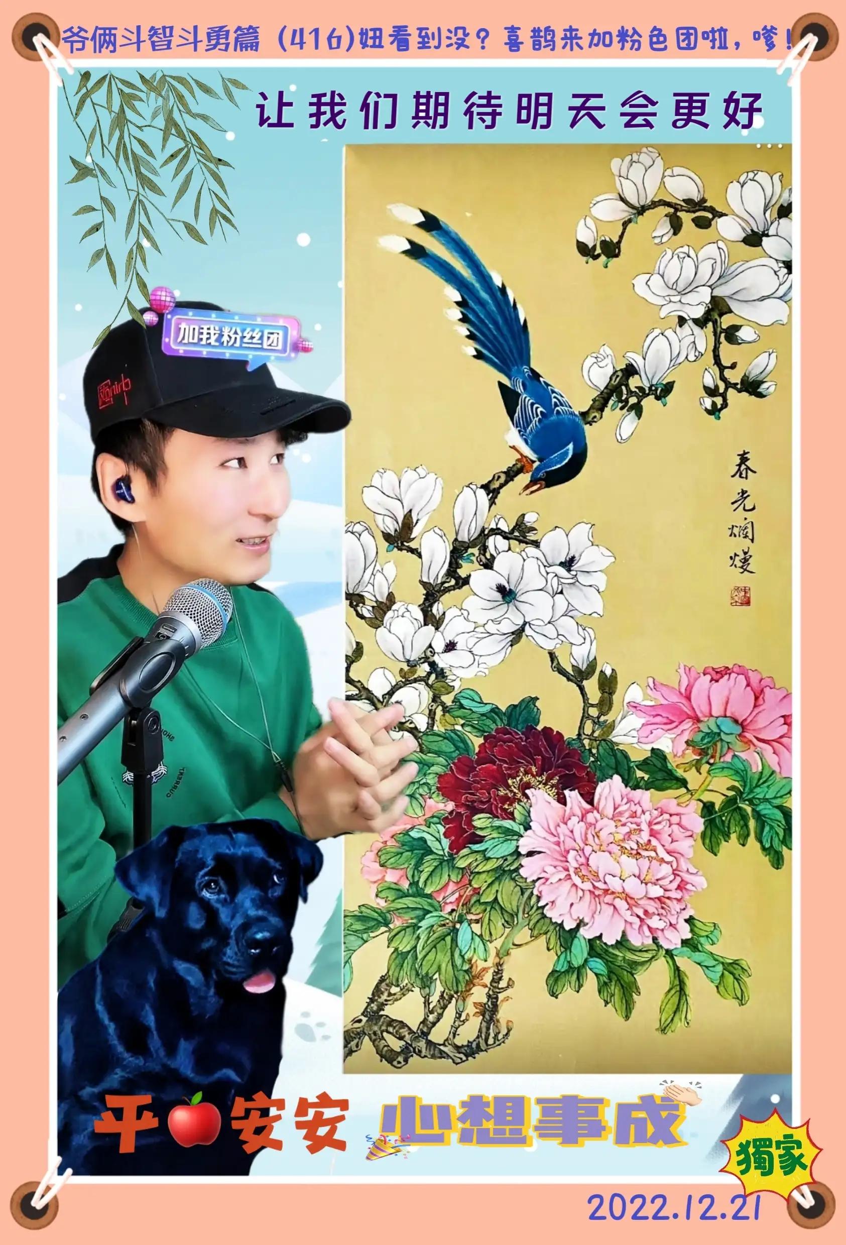 随心所欲32,随心随意老院子