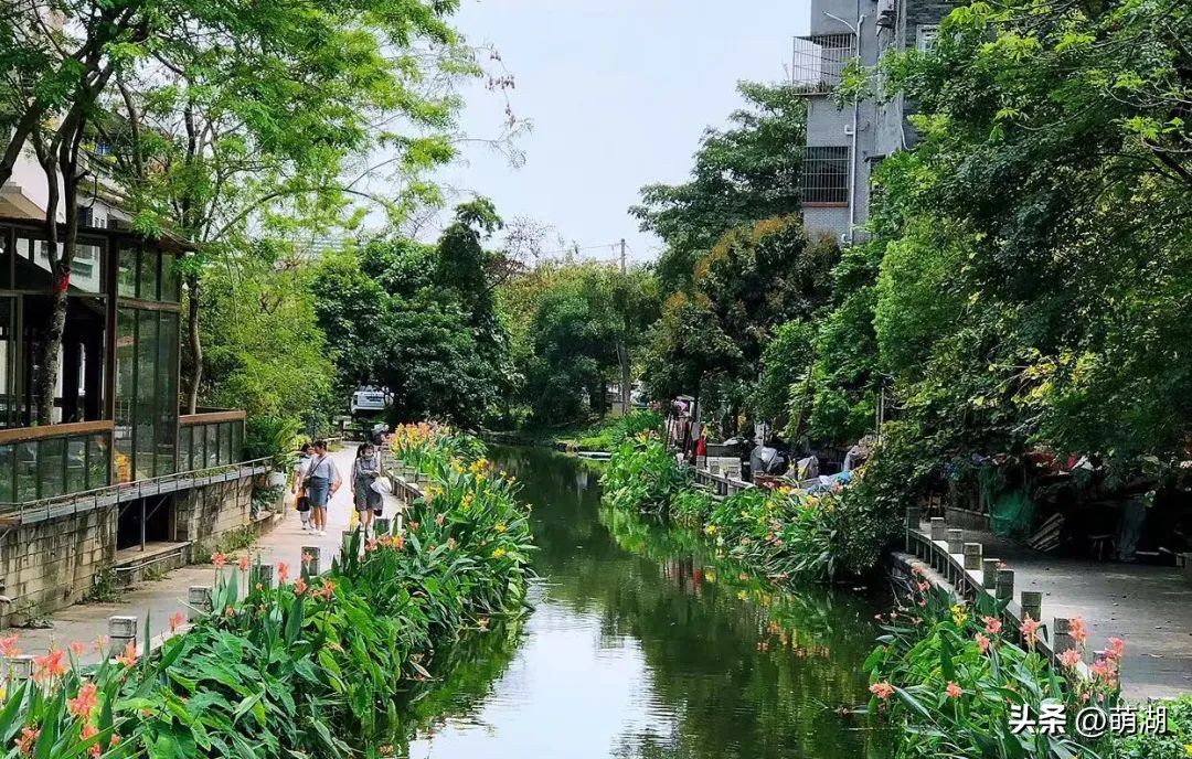 夏天去广州旅游攻略一天,广州旅游攻略一天一夜自由行