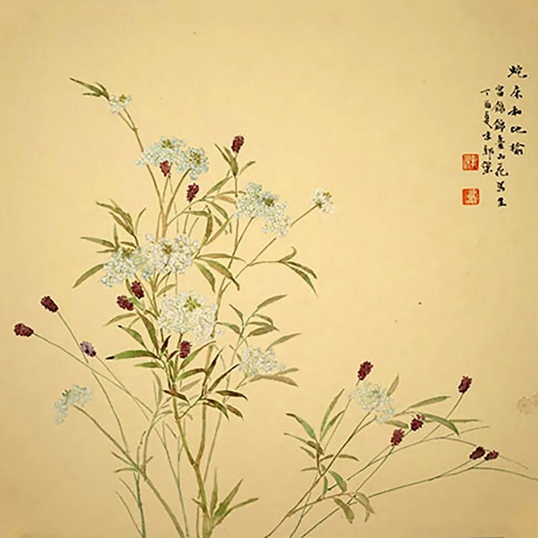 没骨花卉创作,没骨花卉是什么