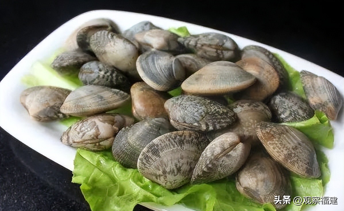 诏安秋天吃什么海鲜,福建各种海鲜图片大全