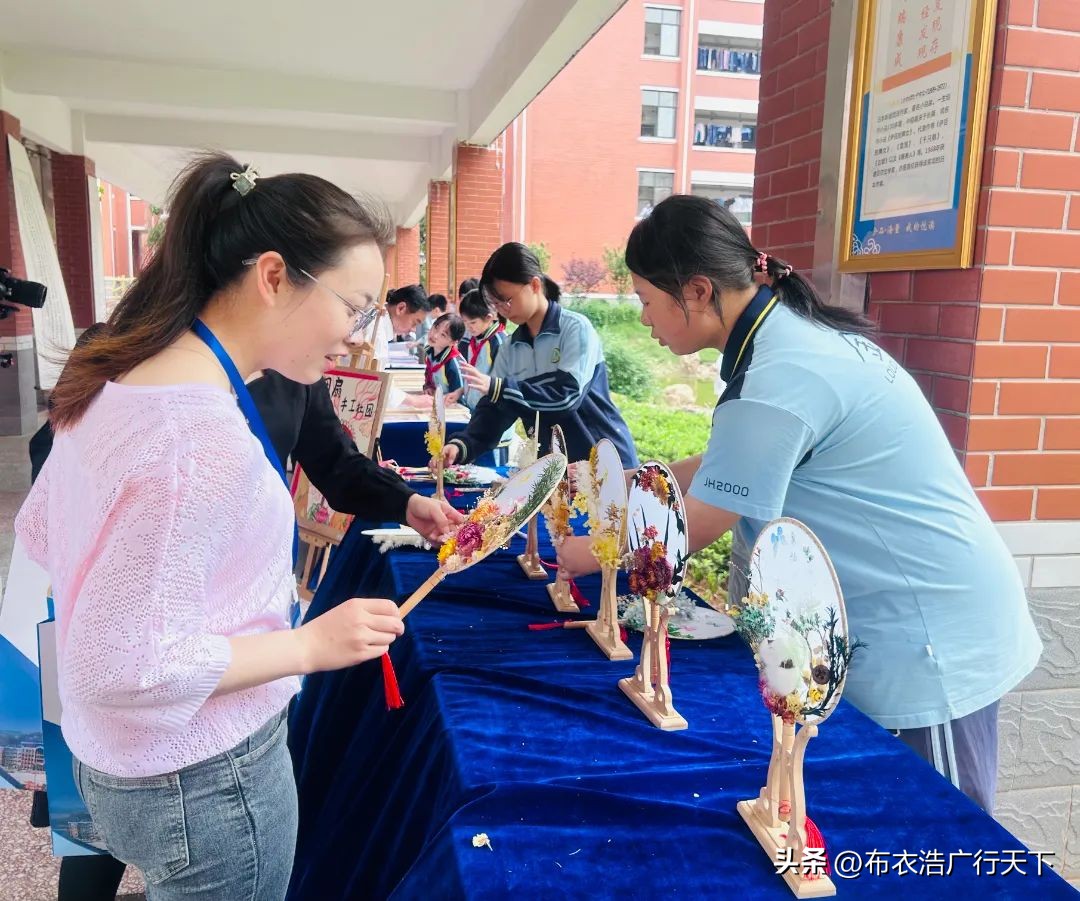 娄底金海学校工作总结,娄底金海学校的活动