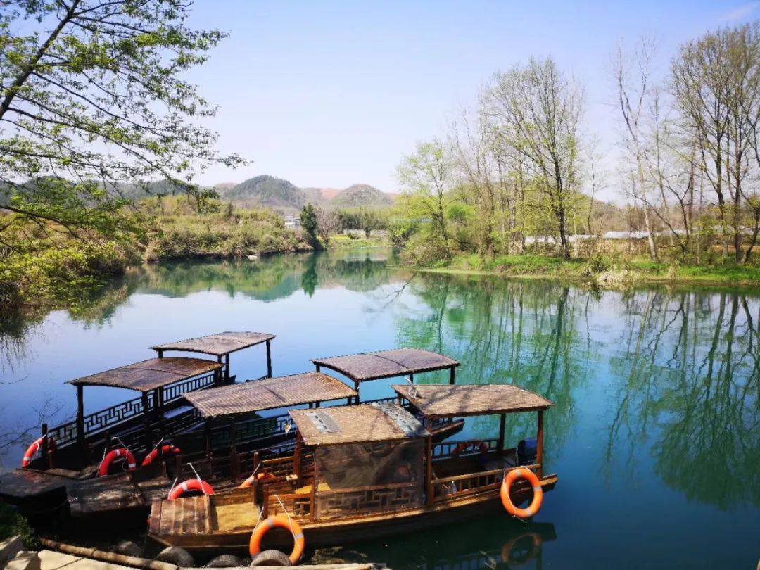 到咸宁看国宝过大年,离家45年的国宝回湖北咸宁过年