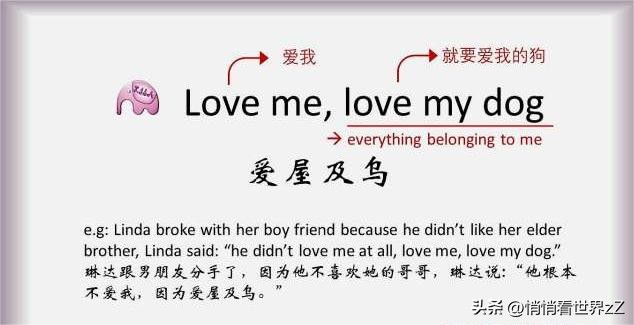 取消英语主科地位英语,取消英语主科地位合理吗