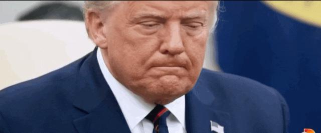 四岁用中文唱儿歌的女孩长大了，为她我希望川普再当选