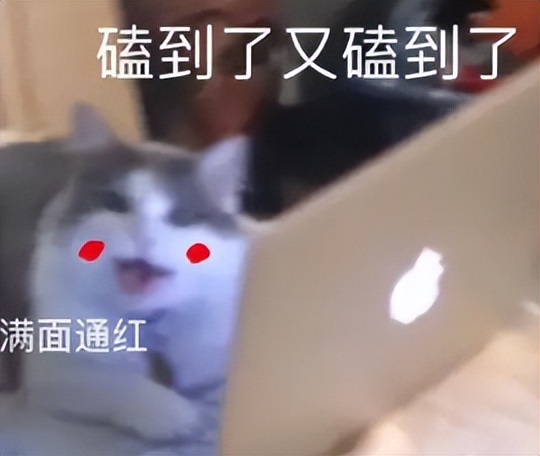 妈呀,他一开口,我又能爱了!