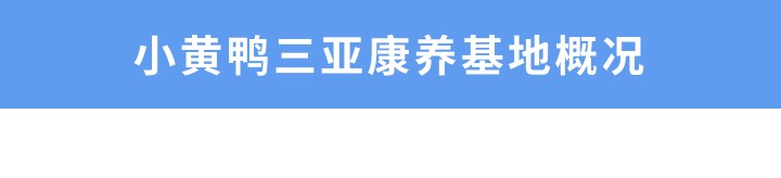 【三亚海滨康养】住在专属中国的“夏威夷”看椰林细浪享海滨风情