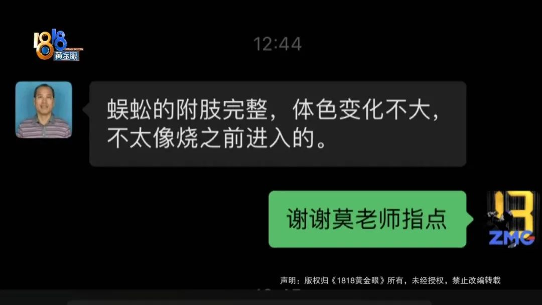 哪种螺蛳吃了中毒,爆炒螺蛳的蚂蟥会死吗