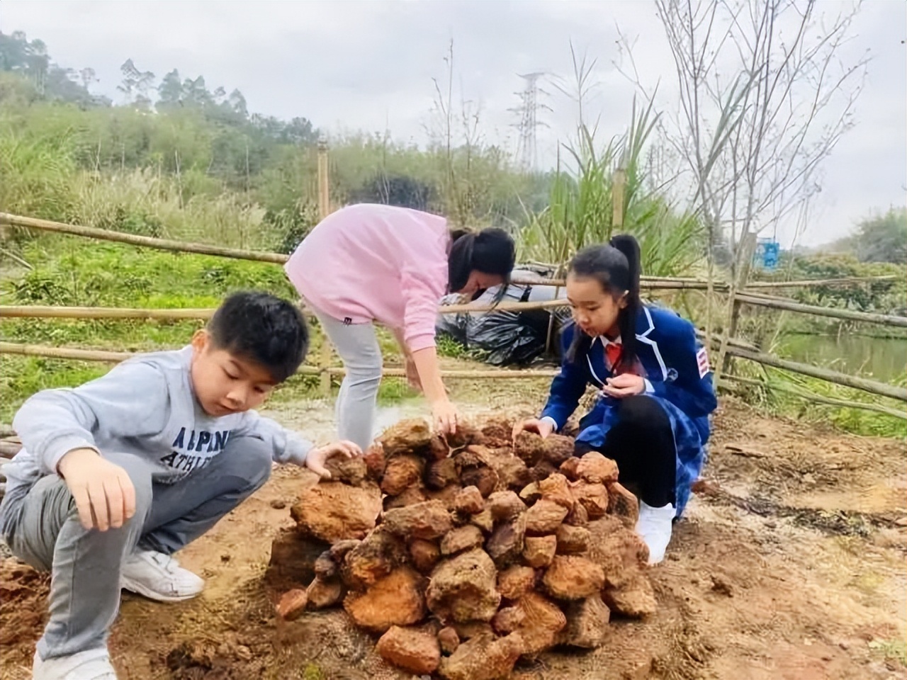 增城网红民宿别墅,增城最美花园亲子民宿