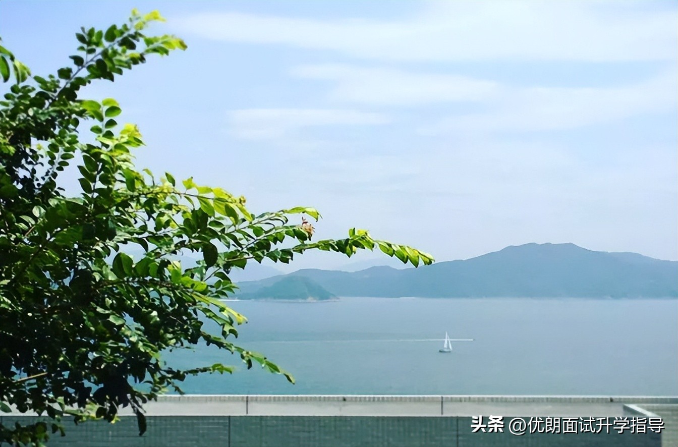 港科大的it专业2024年录取多少人,港科大2023排名