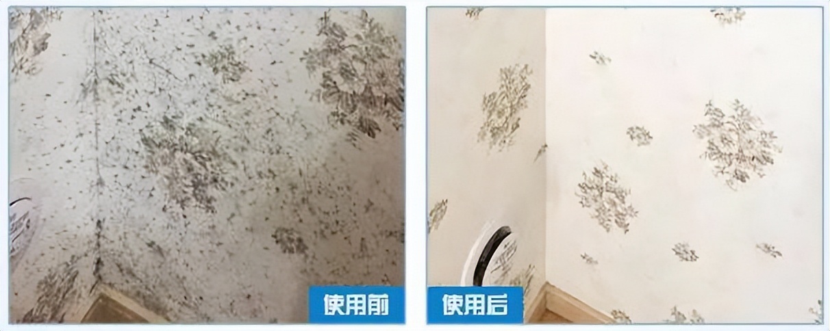 抹布严重霉点霉斑怎么去除,抹布发霉怎么洗掉霉斑没有醋