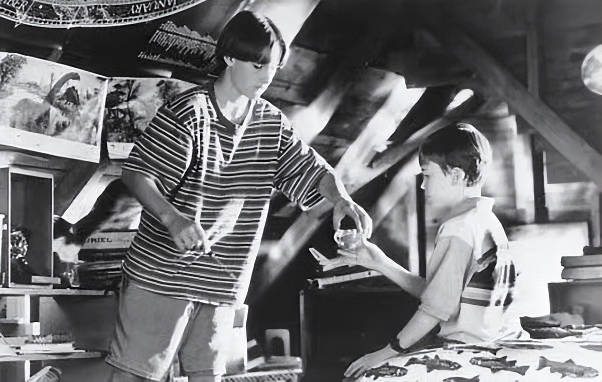 鳄鱼波鞋走天涯完整版在哪可以看,鳄鱼波鞋走天涯影片整体拍摄风格