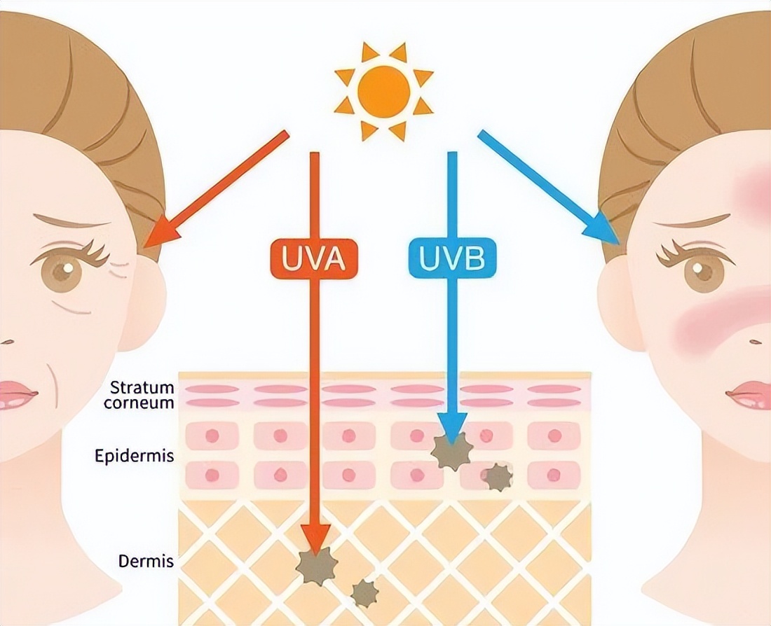 抗氧化防晒内服,抗氧的防晒成分有哪些