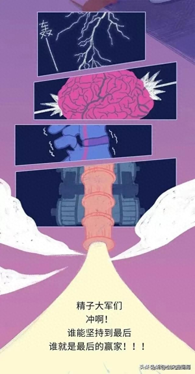 精子进入女性体内的24小时，都经历了什么？漫画