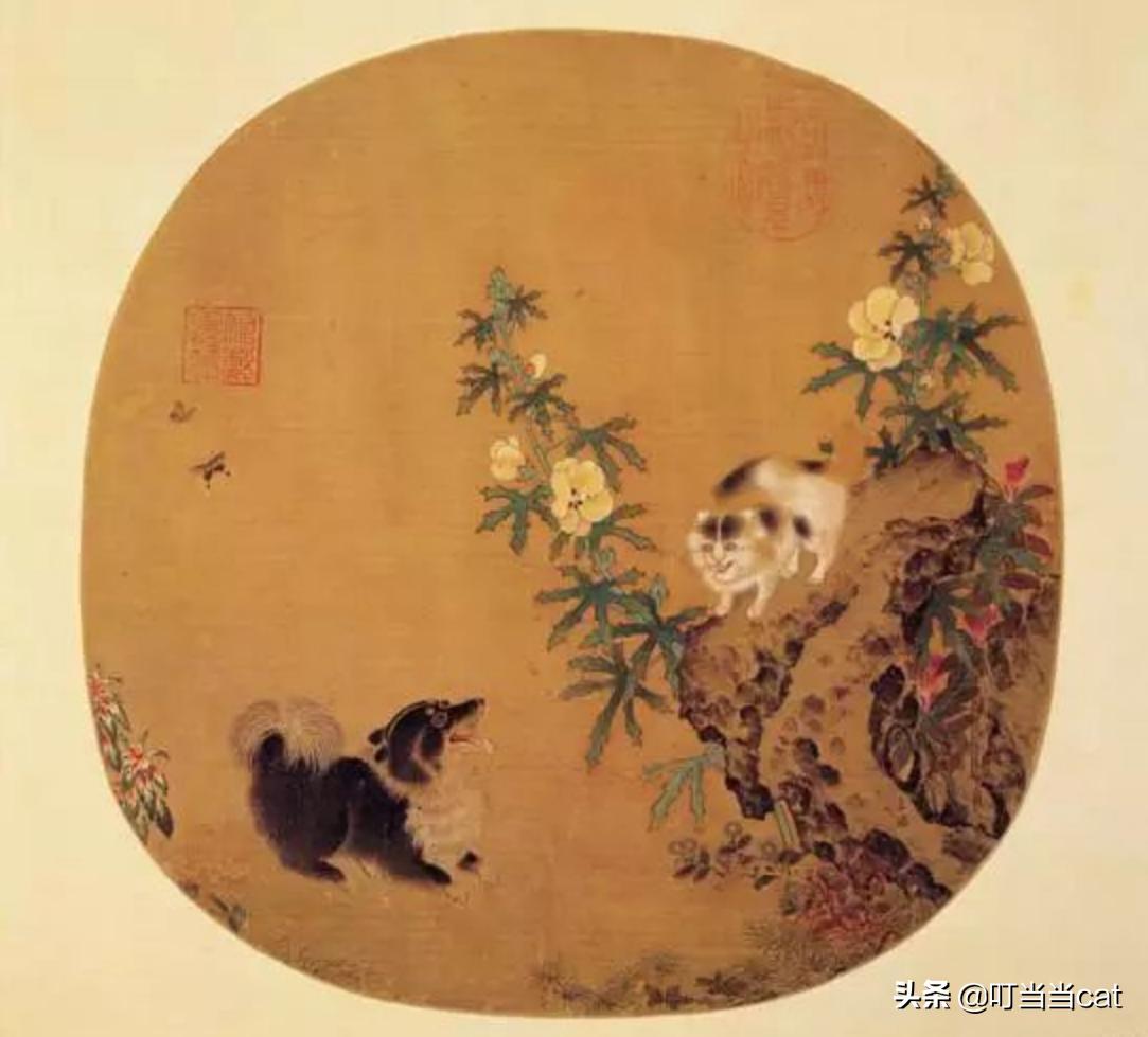 养猫是送的好还是买的好 (养猫不能买什么年花)