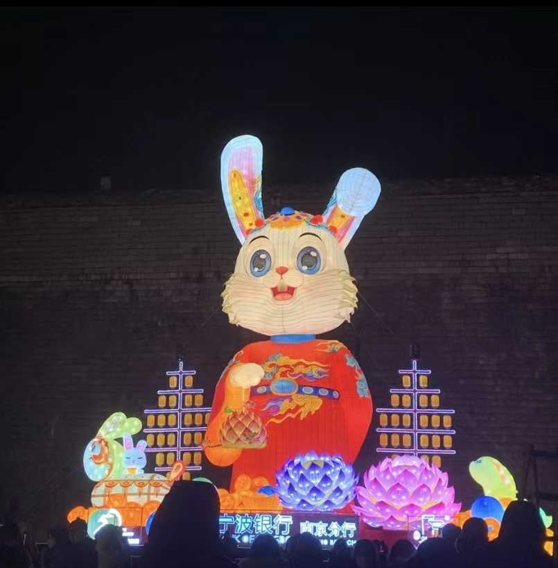 各个地方的新年兔子,又可爱又萌的新年兔