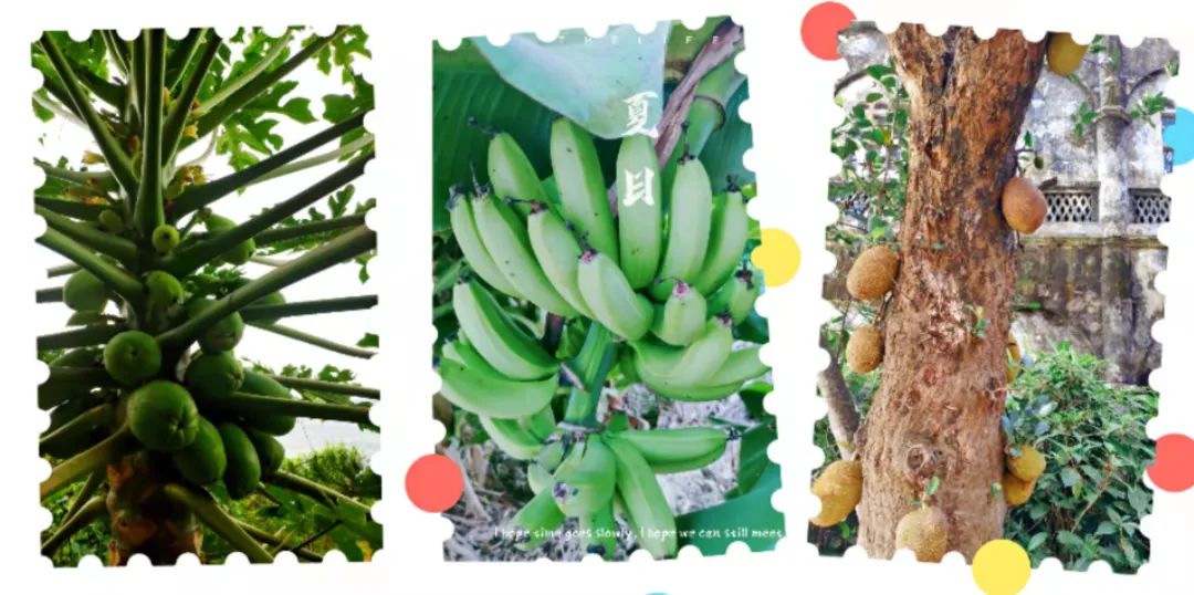 北海涠洲岛上买海鲜怎么避坑,北海涠洲岛有什么好玩的推荐