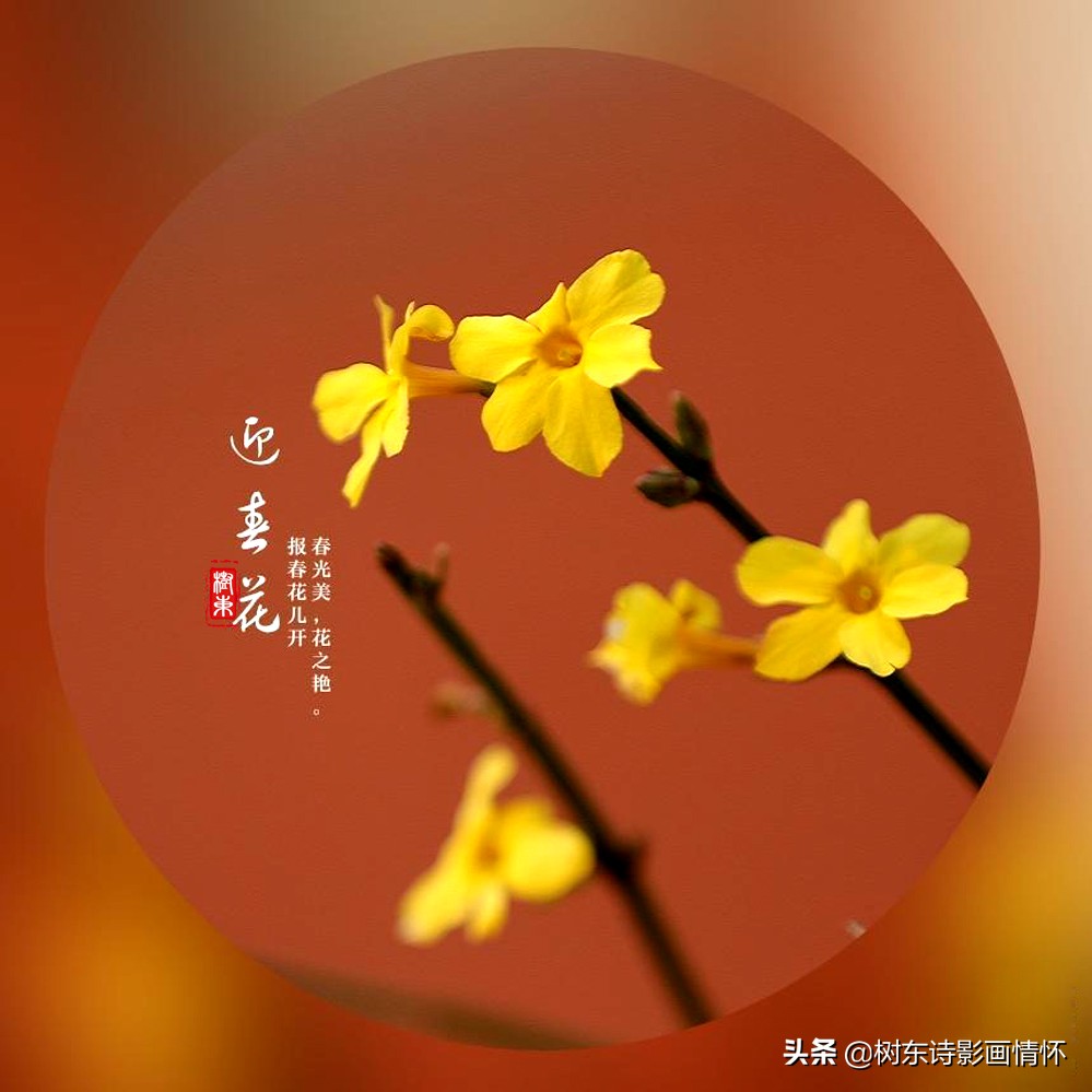 诗词中最美的春天,100句诗词写出最美的春天