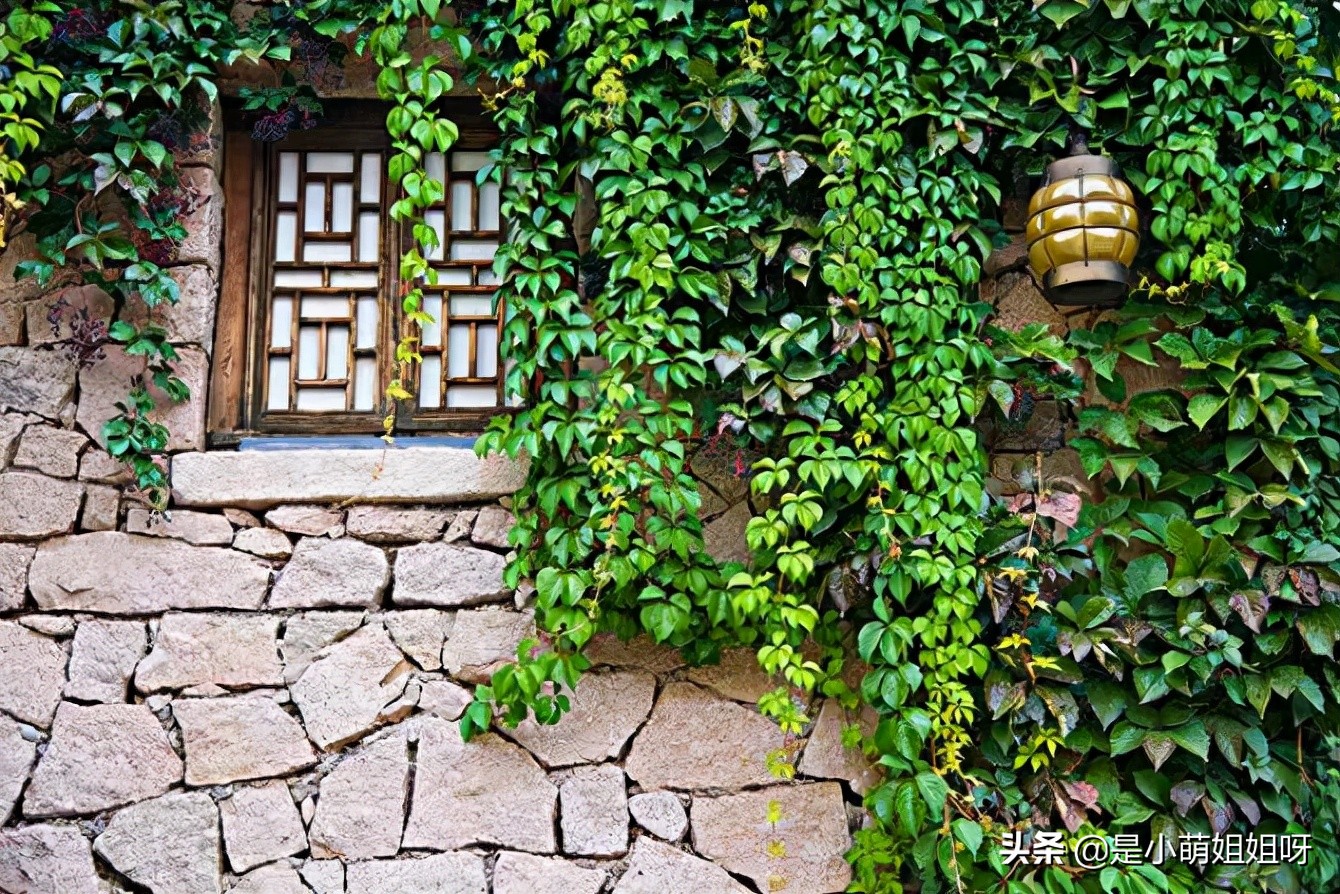 如何在互联网低成本创业,成本低的互联网创业做什么好