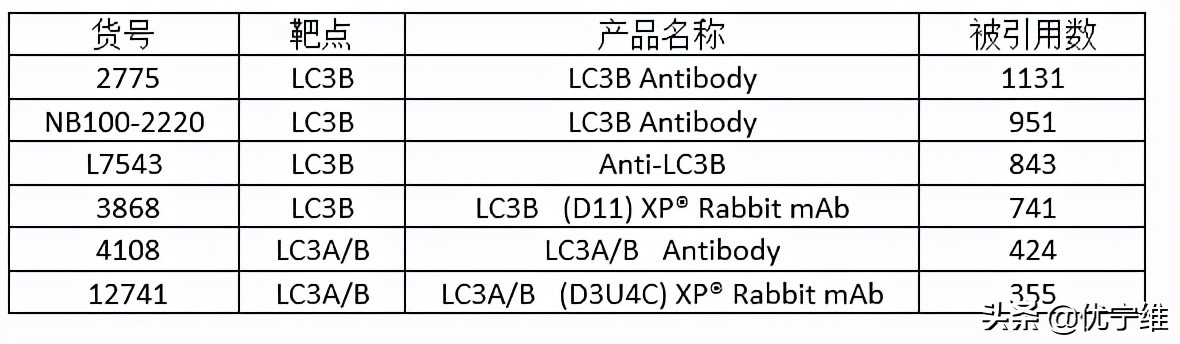 lc3自噬标记物,lc300有哪些隐藏功能