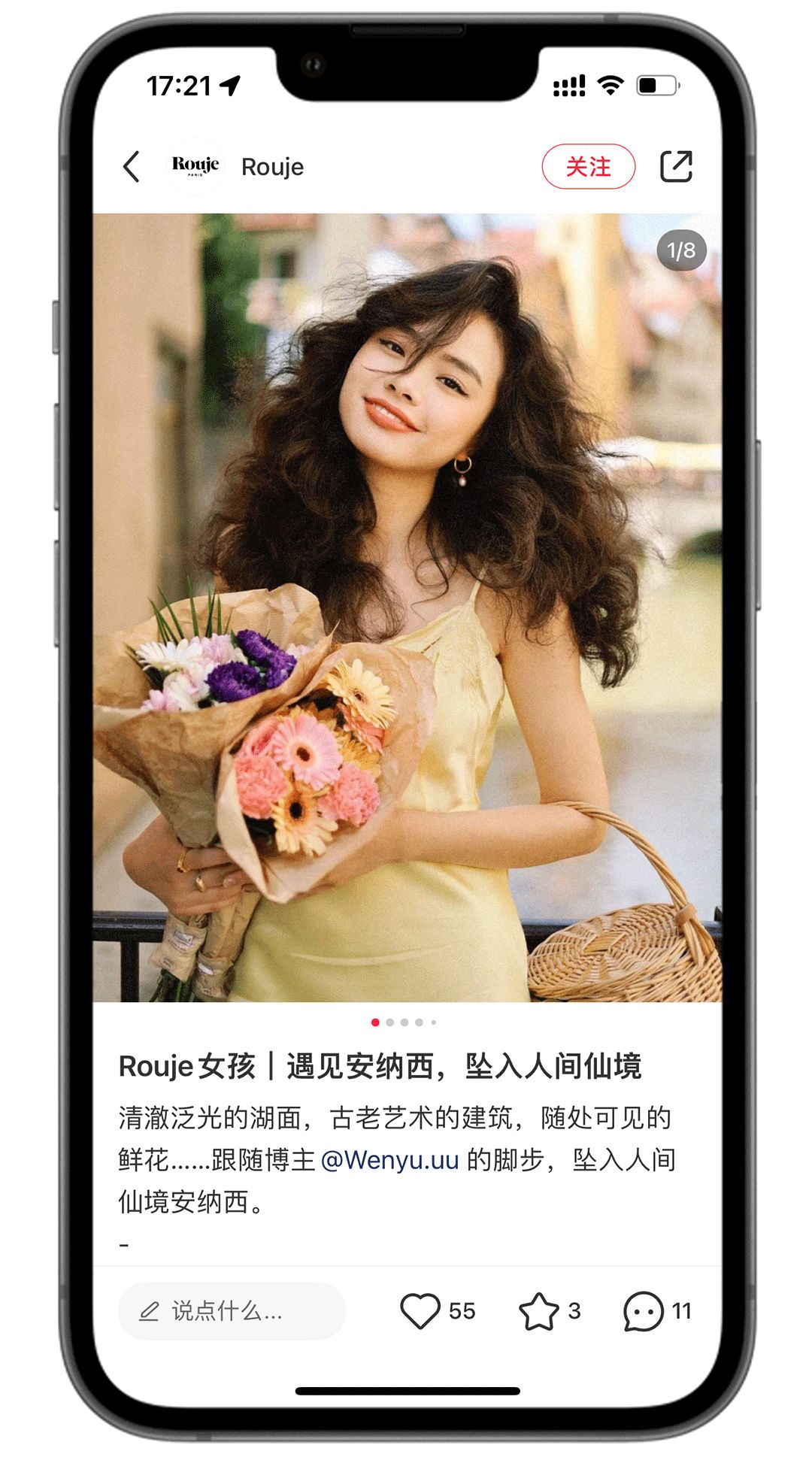 法式风是怎么样的,法式风成功案例