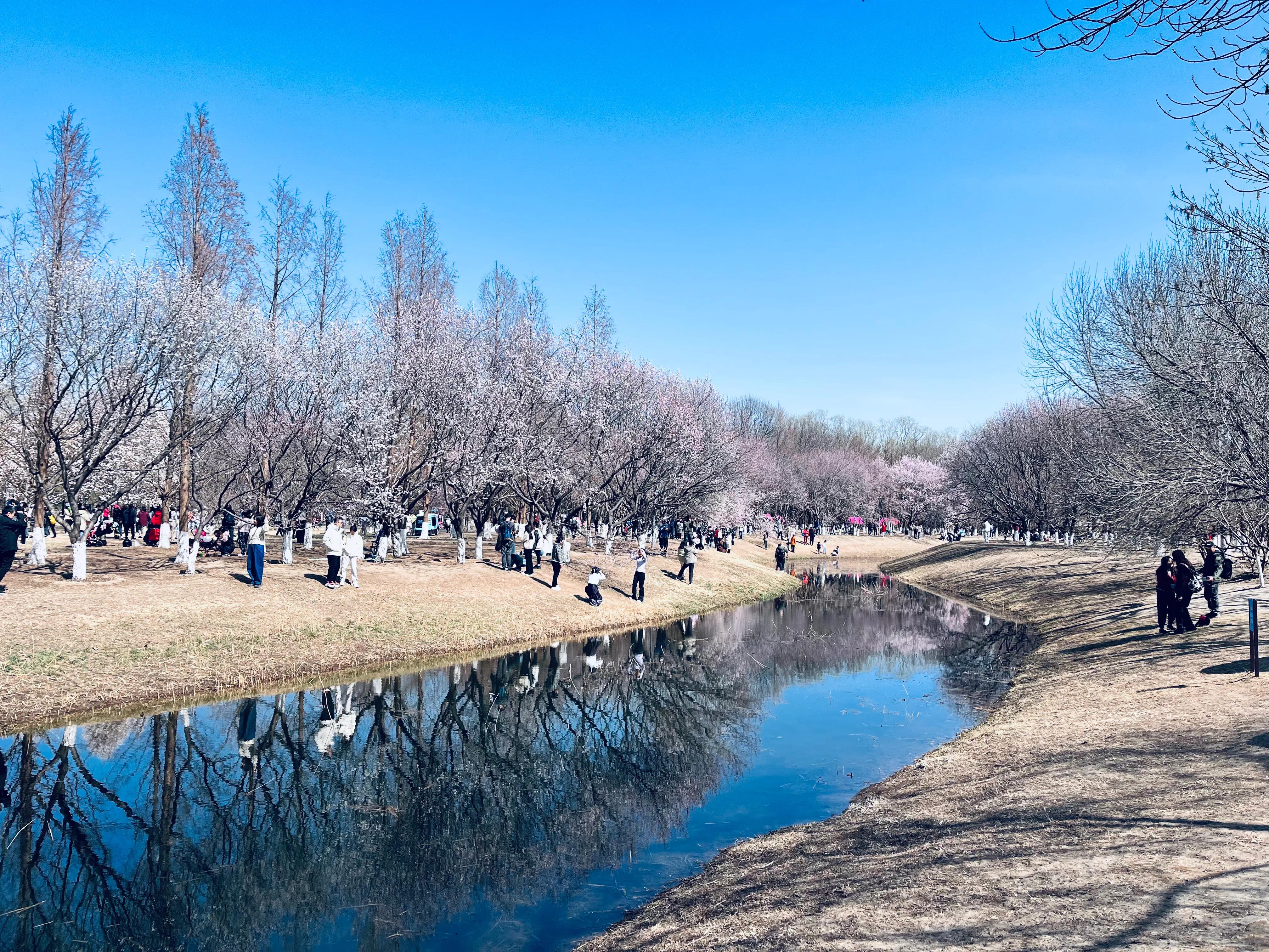在北京买房最好买哪里,如何在北京买房待下去