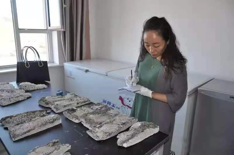 董艳珍挑战不可能李昌钰视频,董艳珍李昌钰节目