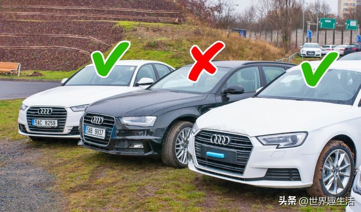 世界十大奇葩禁令,世界各地奇怪法律