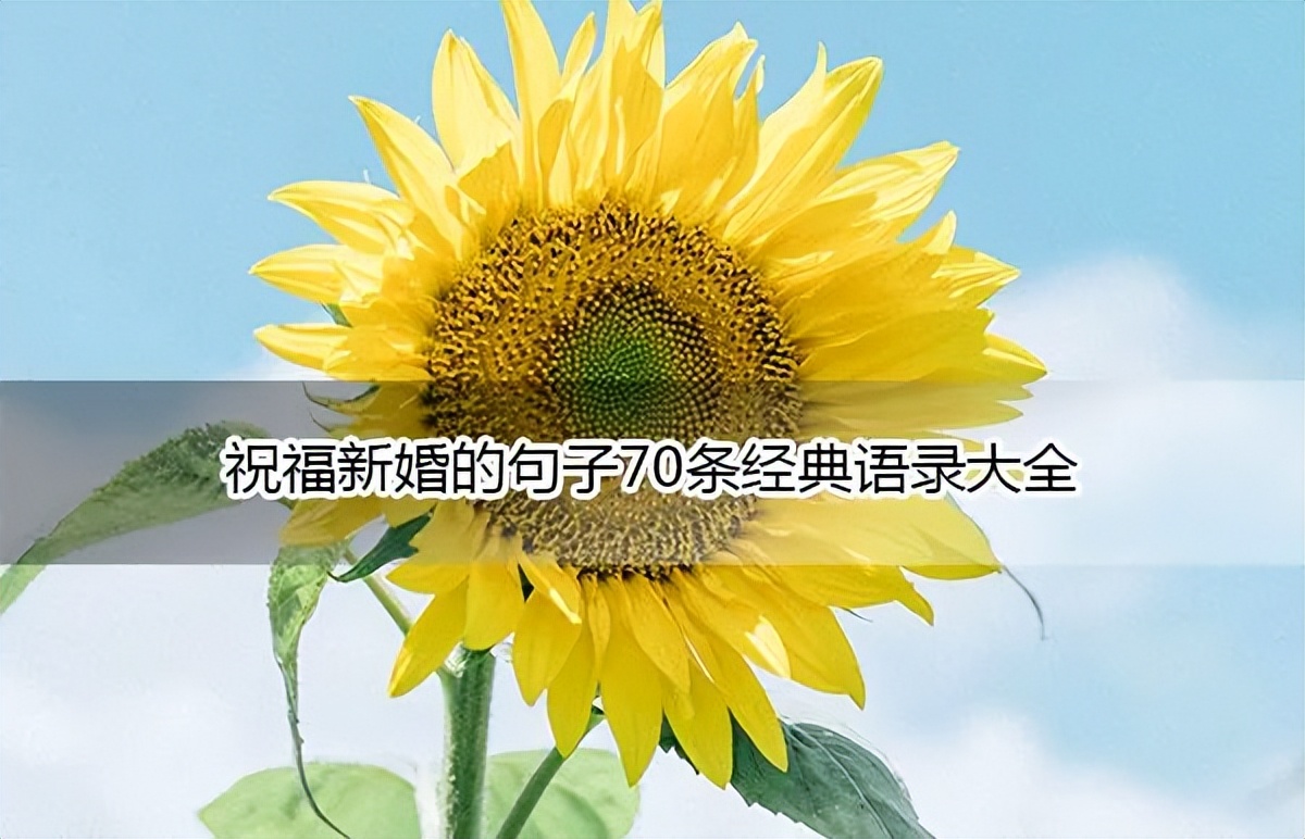 祝福新婚儿子儿媳最美的句子,祝福新婚快乐2022最火句子