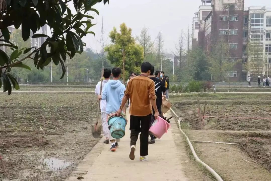 在成都读大学好就业吗,在成都读研究生是什么体验