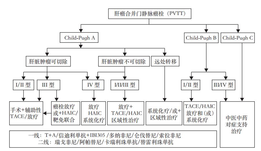 癌栓治愈,肝癌晚期门静脉癌栓最佳方案
