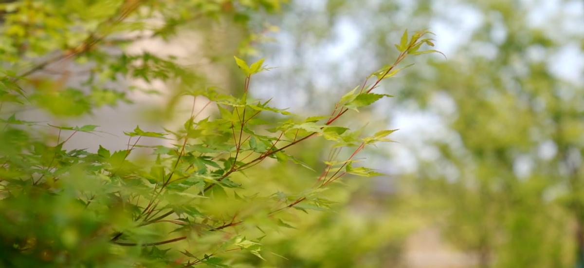 抢手！苏州太湖畔真洋房来袭