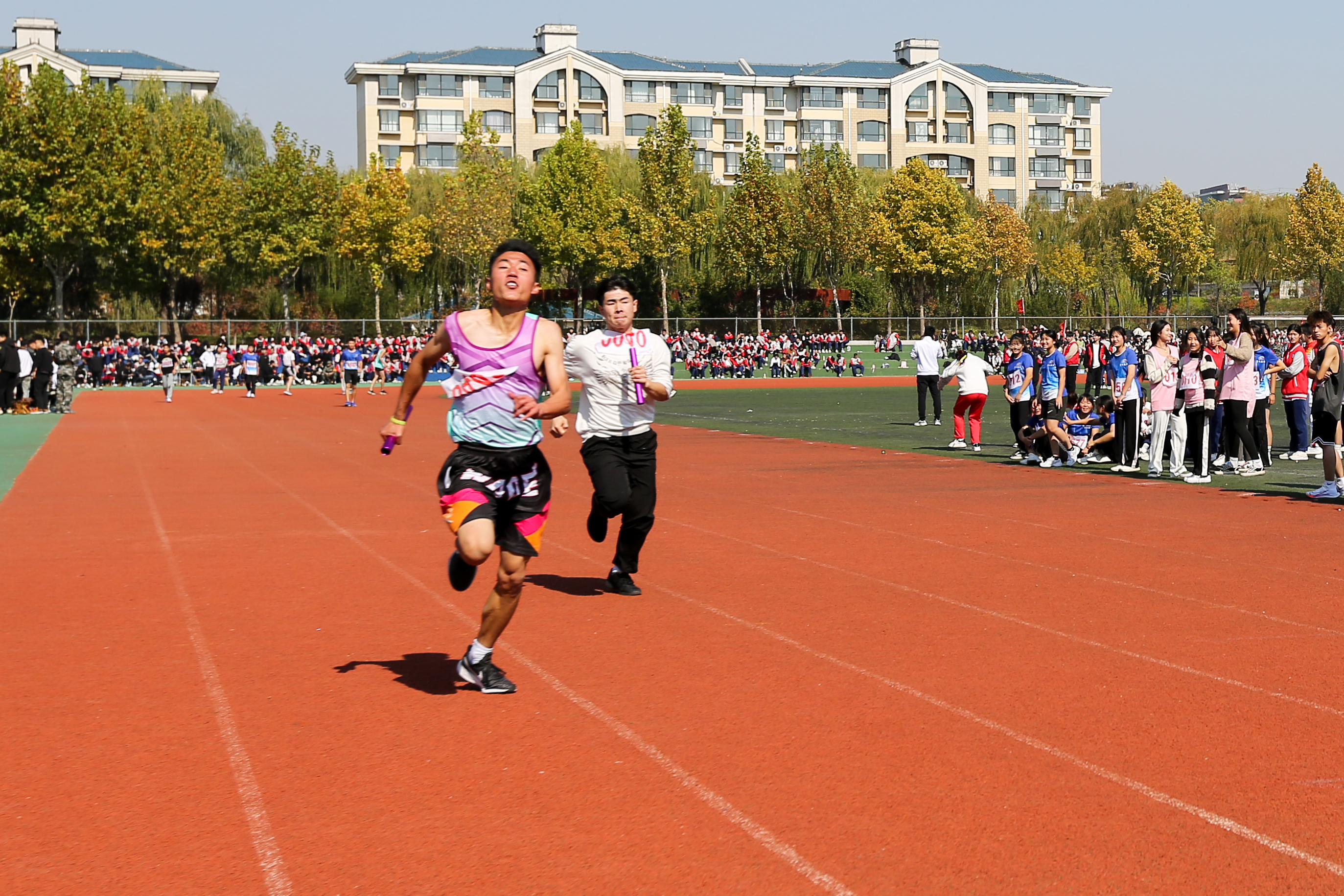 山东水利技师学院宣传视频,山东水利技师学院运动会开幕式