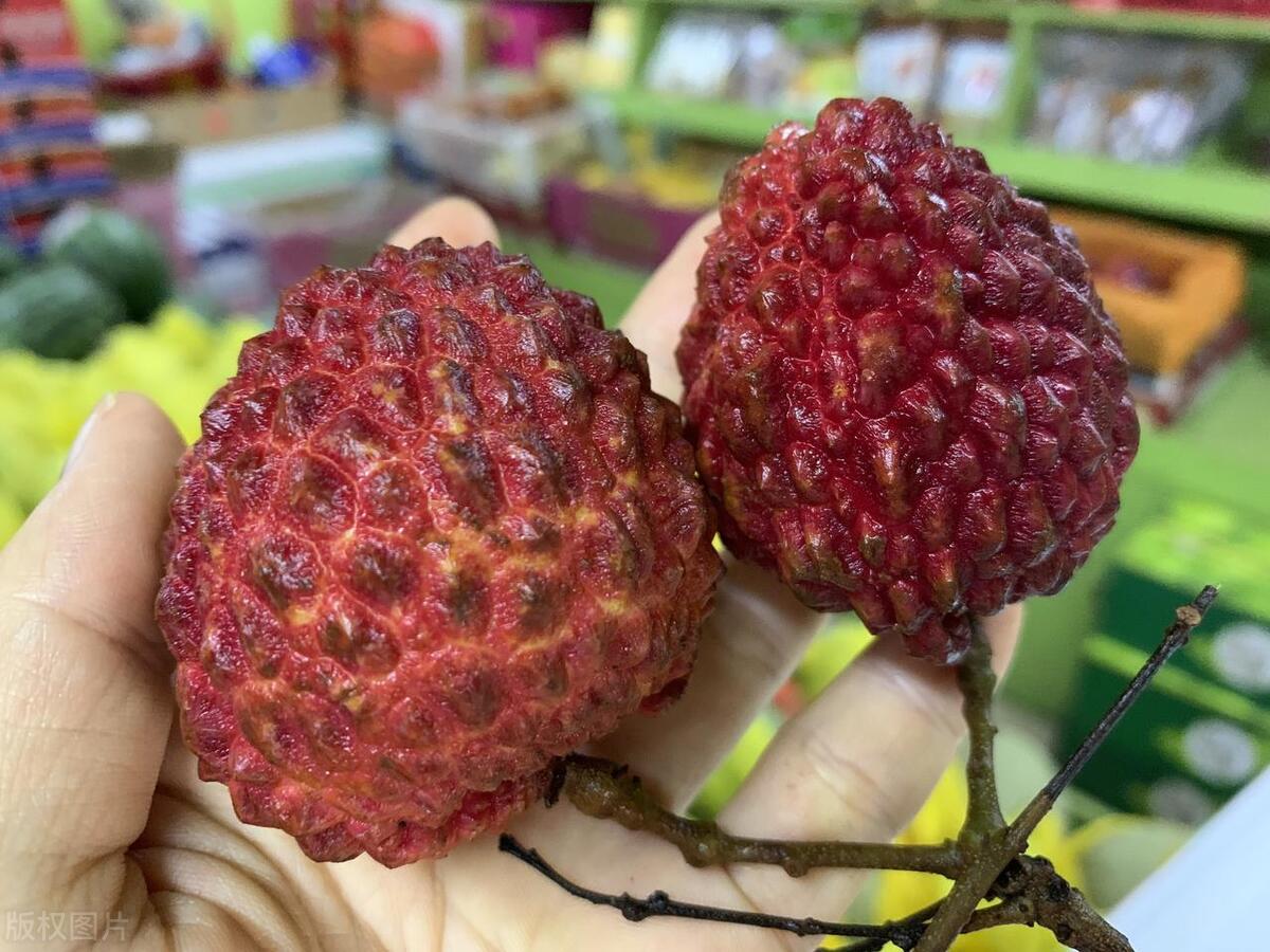 外来荔枝,外地的荔枝