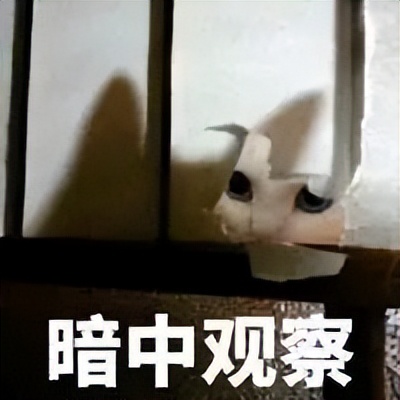 考生吐槽高考数学太难没书读,考生吐槽高考数学太难将没书读