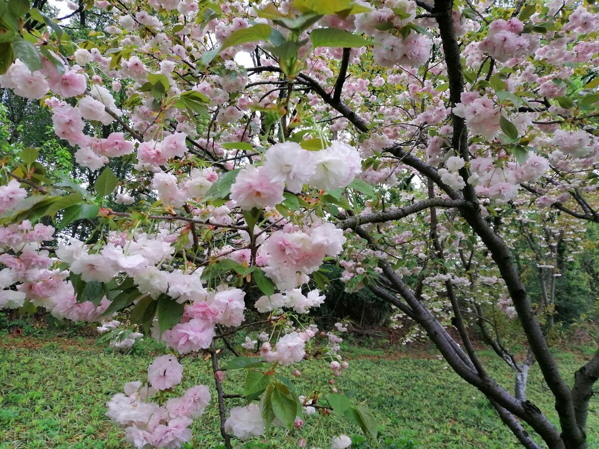 终于完成人生中最重要的一件事,人的一生最重要的一件事是什么