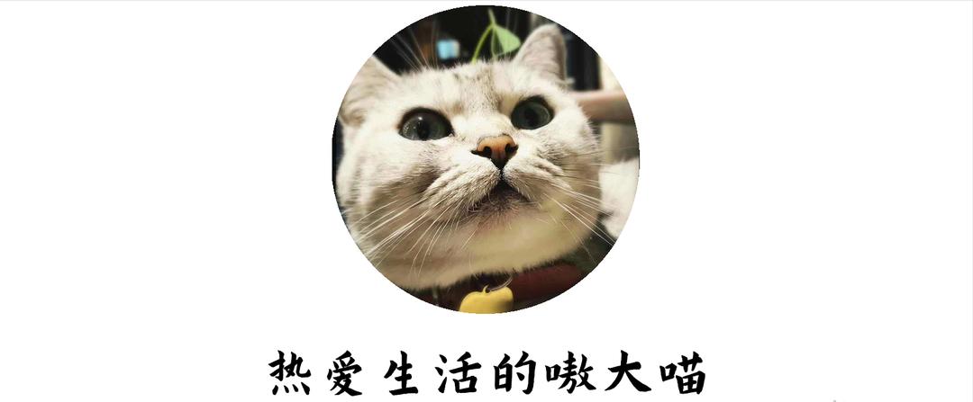 绿联插板与公牛插板对比,公牛插线板怎么选