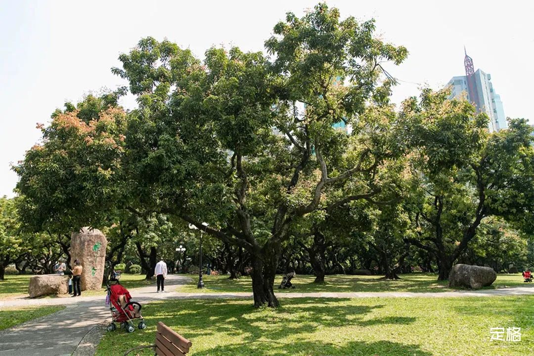 深圳免费露营的公园推荐,深圳22个露营公园