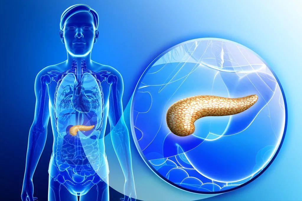 糖尿病肾病气阴两虚型食疗药膳,糖尿病肾病引起腹泻用什么中成药