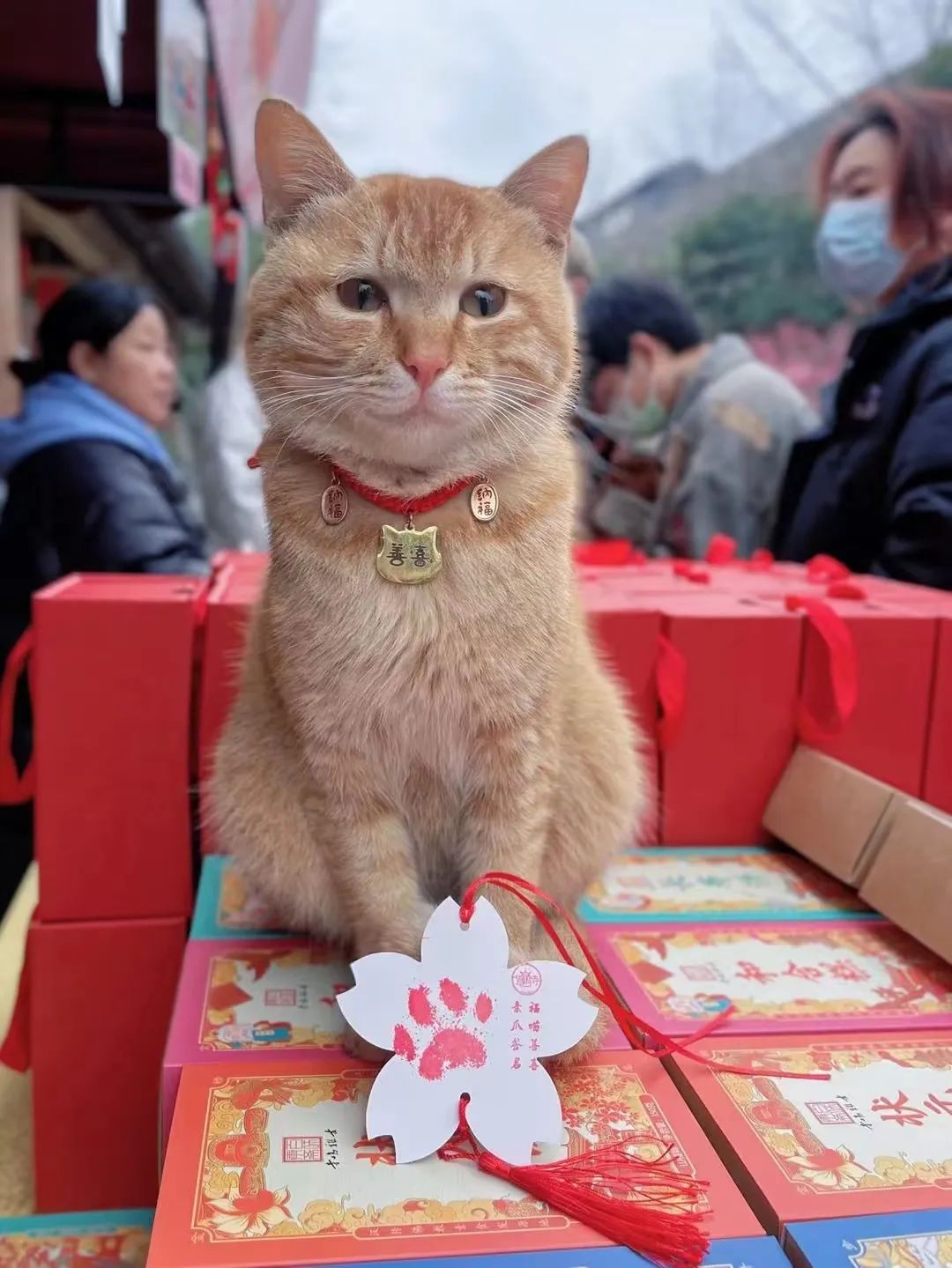 南京年轻人：改吃斋了