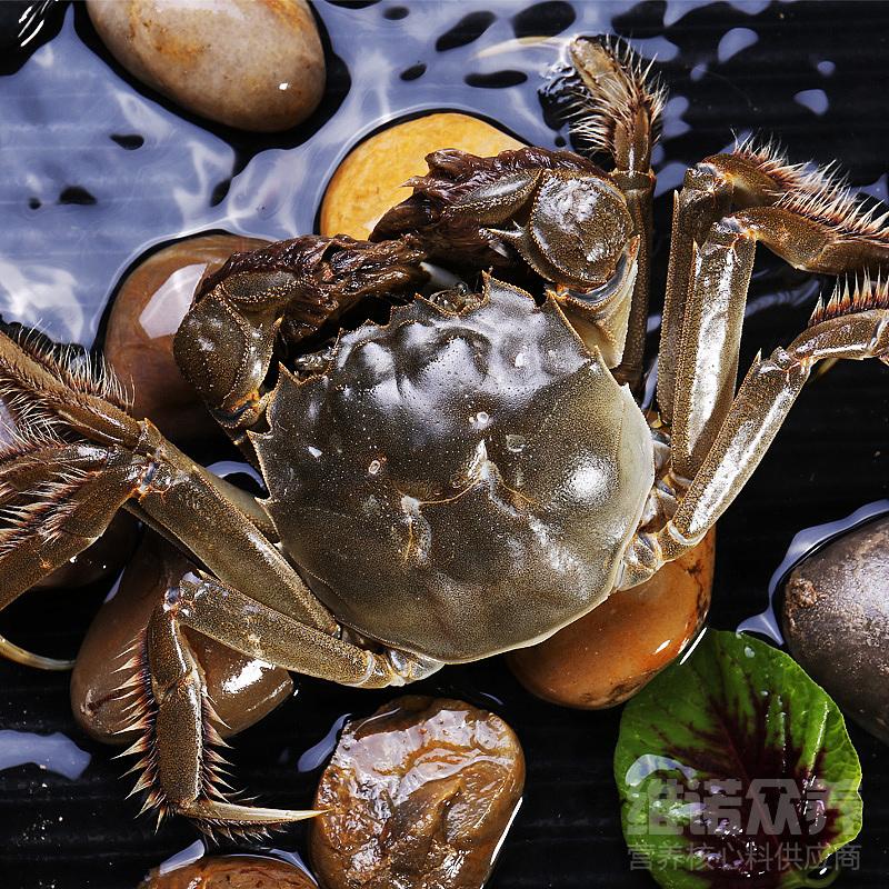 螃蟹养殖技术和养殖方法,大闸蟹养殖条件和技术要点