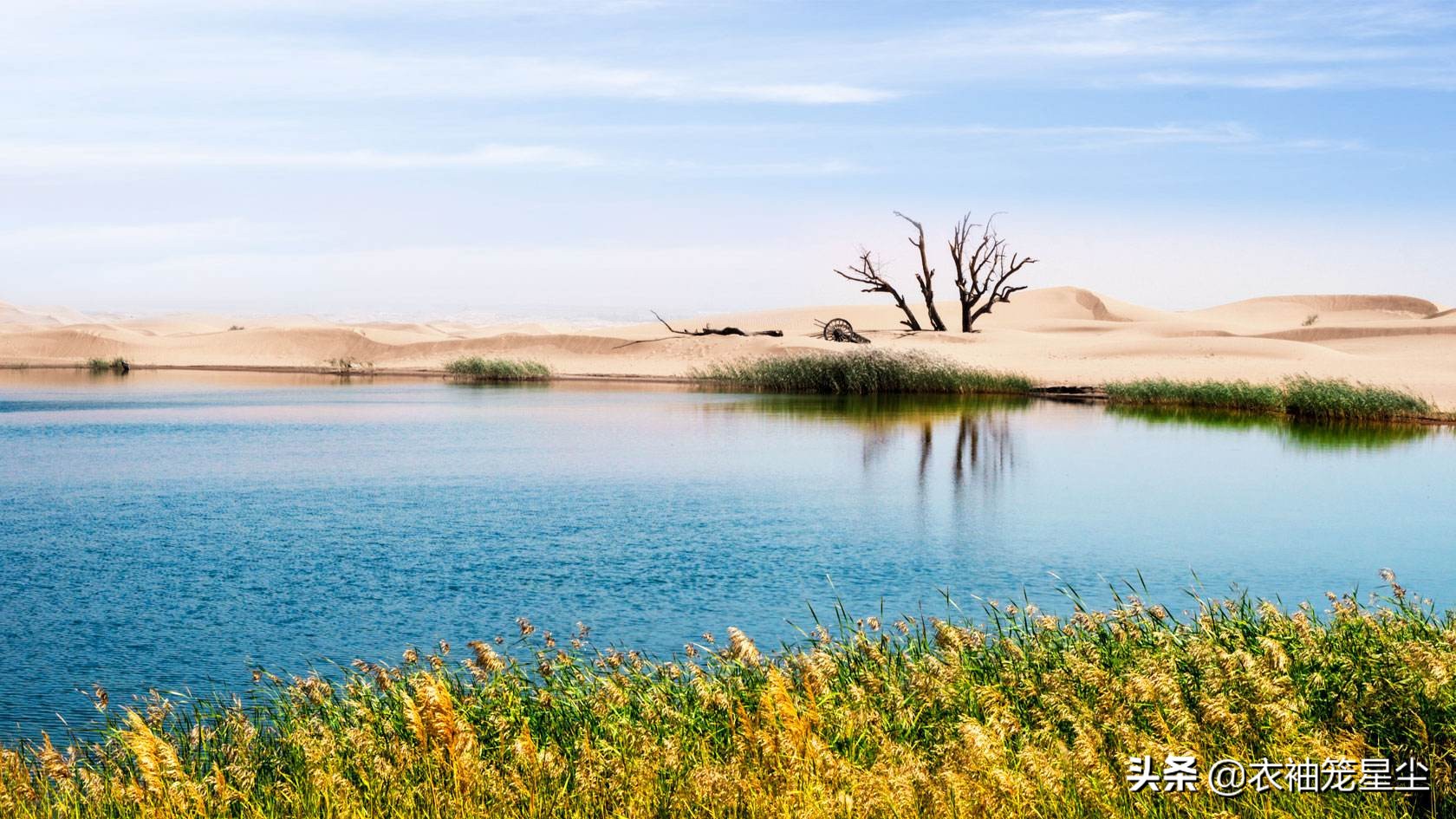 中卫旅游十大惊喜清单,治沙三大奇迹