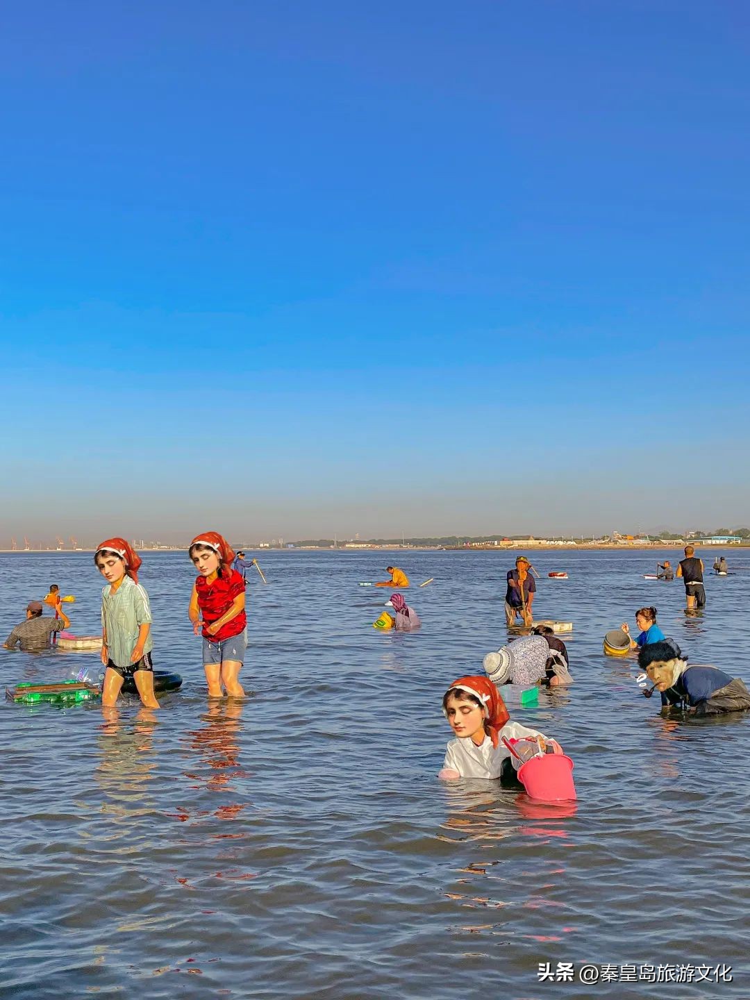秦皇岛赶海海鲜都有什么,秦皇岛哪里可以赶海捉海鲜