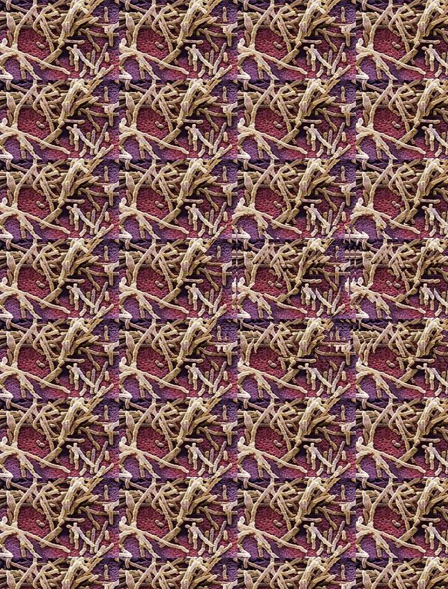 朋友网购收到一条坏的裤子，找客服后被质疑